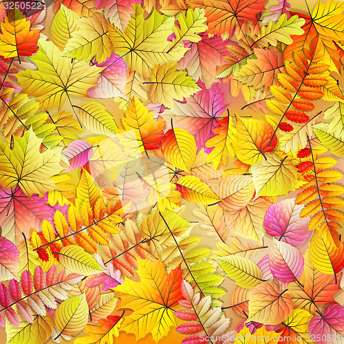 Image of Colorful fallen autumn leaves. EPS 10