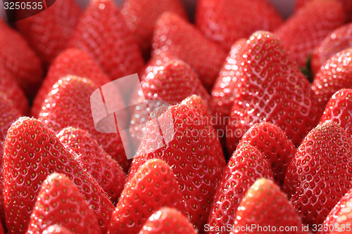 Image of strawberry background