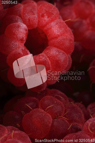 Image of raspberry background