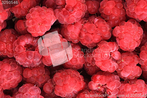 Image of raspberry background