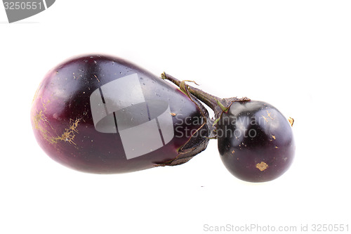 Image of eggplant vegetable