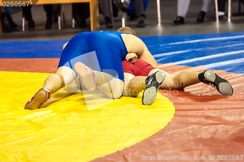 Image of Sports wrestling