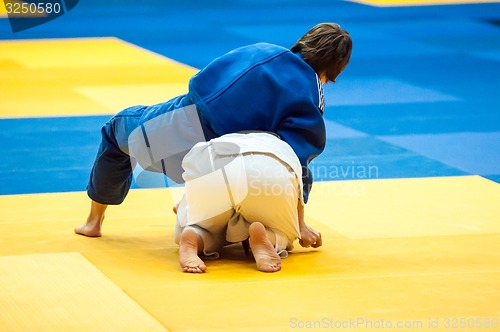 Image of Fighter girl in Judo