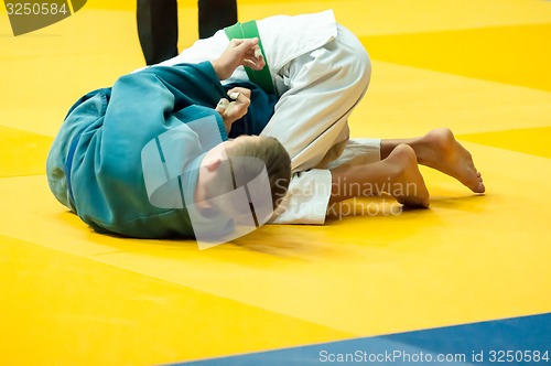 Image of Two judoka