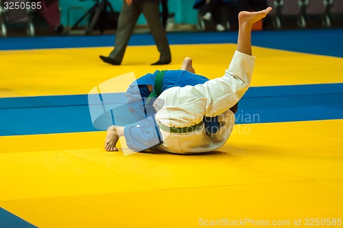 Image of Two judoka