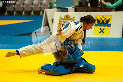 Image of Girl in Judo