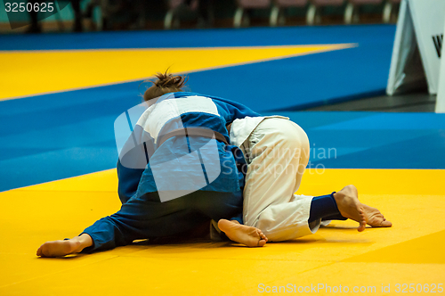 Image of Girl in Judo