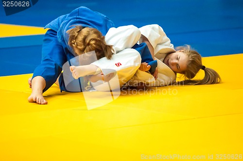 Image of Fighter girl in Judo