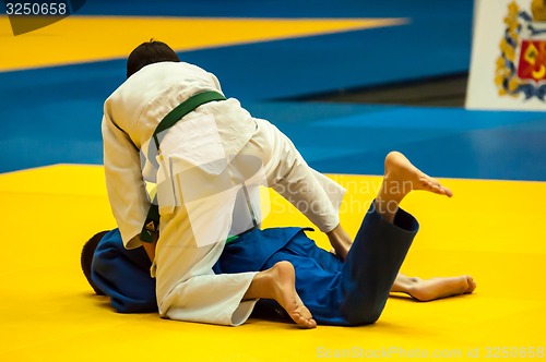 Image of Two judoka