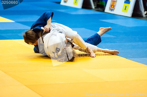 Image of Fighter girl in Judo