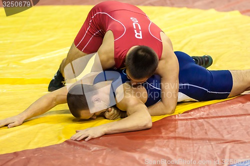 Image of Sports wrestling