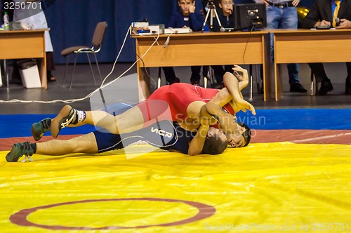 Image of Sports wrestling