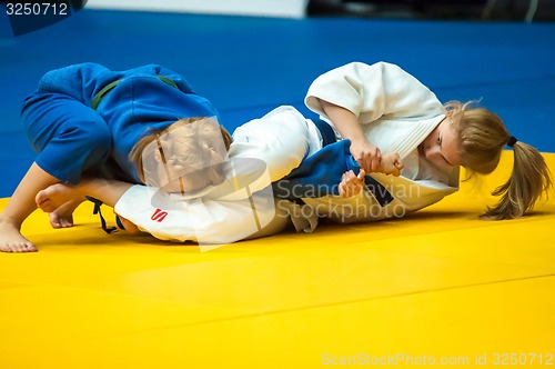 Image of Fighter girl in Judo