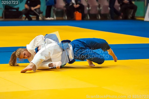 Image of Fighter girl in Judo