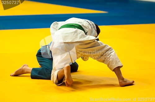 Image of Two judoka