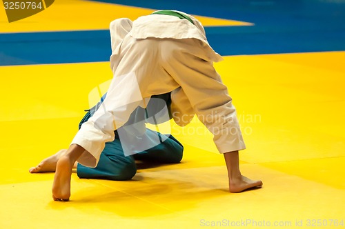 Image of Two judoka