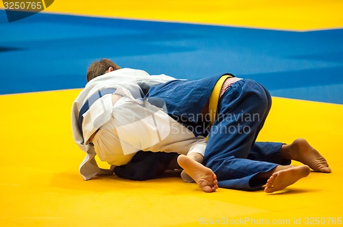 Image of Judo competition youth 