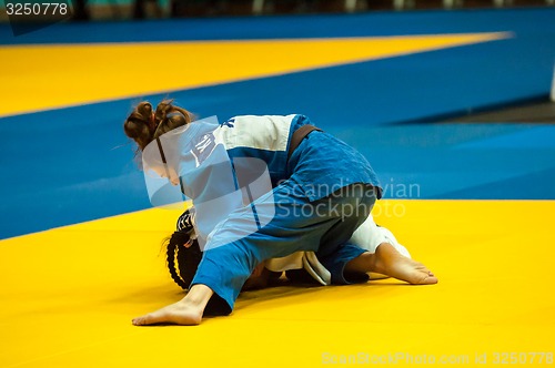 Image of Girl in Judo