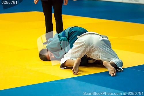 Image of Two judoka