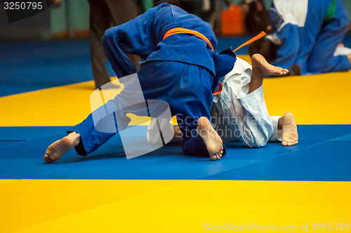 Image of Judo competition youth 