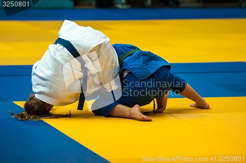 Image of Fighter girl in Judo