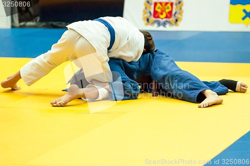 Image of Young men in Judo