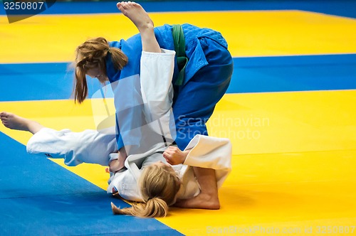 Image of Fighter girl in Judo