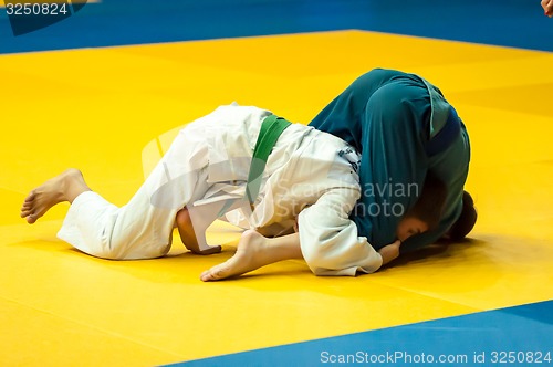 Image of Two judoka