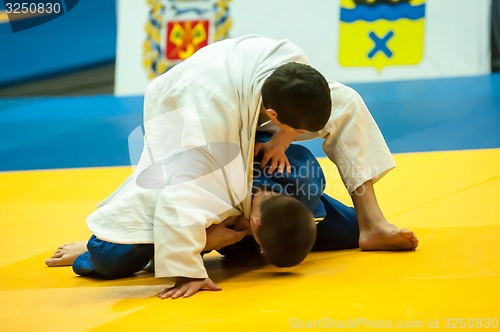 Image of Two judoka