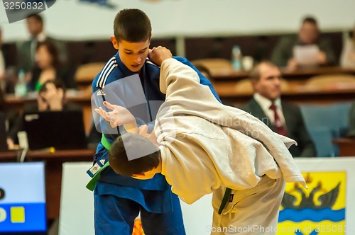 Image of Two judoka