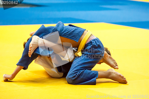 Image of Judo competition youth 