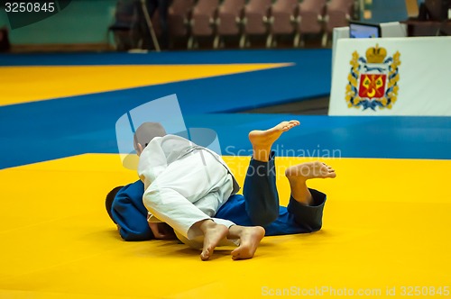 Image of Two judoka