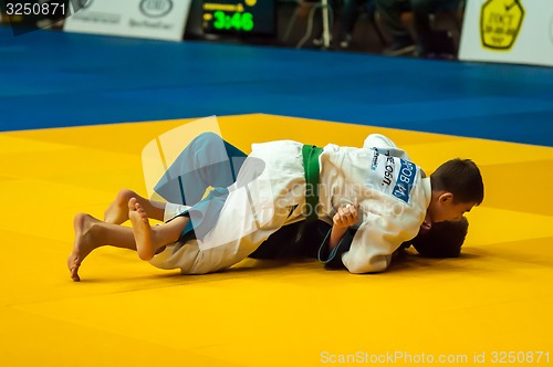 Image of Two judoka