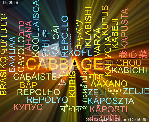 Image of Cabbage multilanguage wordcloud background concept glowing