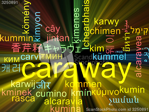 Image of Caraway multilanguage wordcloud background concept glowing