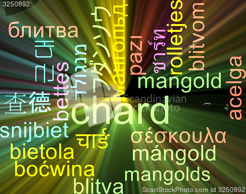 Image of Chard multilanguage wordcloud background concept glowing