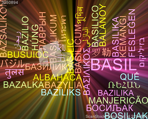Image of Basil multilanguage wordcloud background concept glowing
