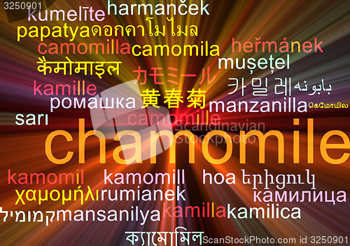 Image of Chamomile multilanguage wordcloud background concept glowing