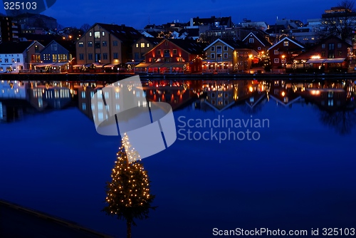 Image of A lonely Christmas tree.