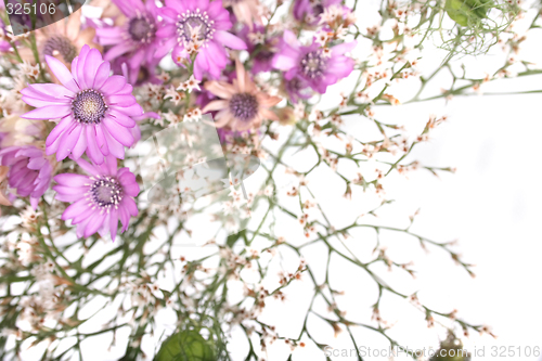 Image of flower background