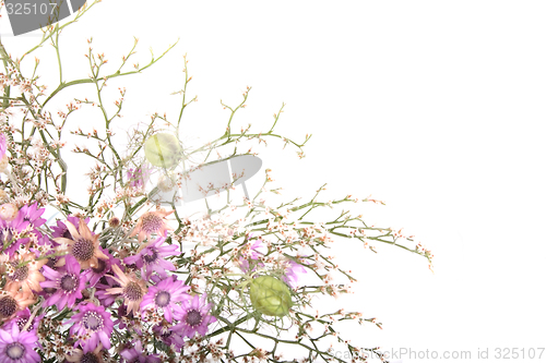 Image of flower background