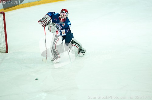 Image of The game of hockey