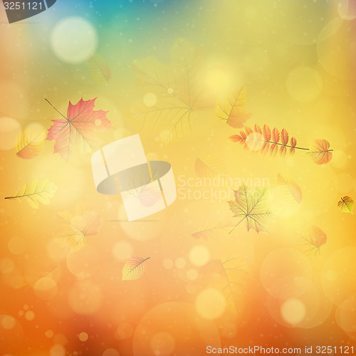 Image of Autumn abstract background. EPS 10
