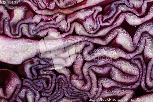 Image of red cabbage background