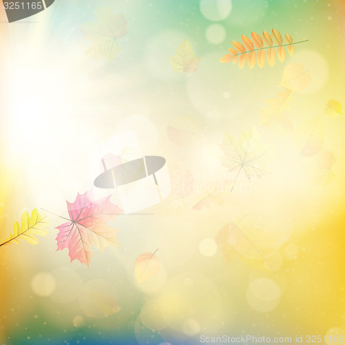 Image of Fall leaves and light burst. EPS 10