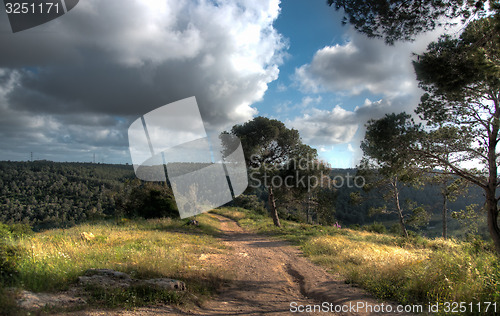 Image of Spring season landscape