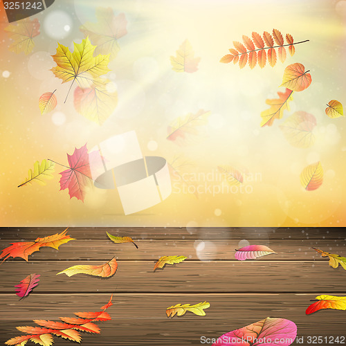 Image of Autumn background. EPS 10