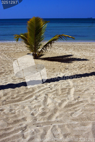 Image of nosy be madagascar beach