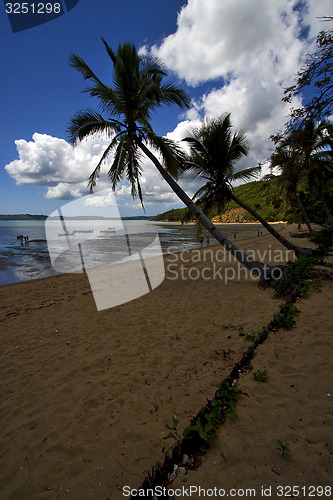 Image of people boat palm lagoon and coastline