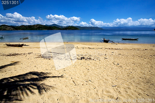 Image of  nosy be rock stone branch boat palm lagoon  madagascar